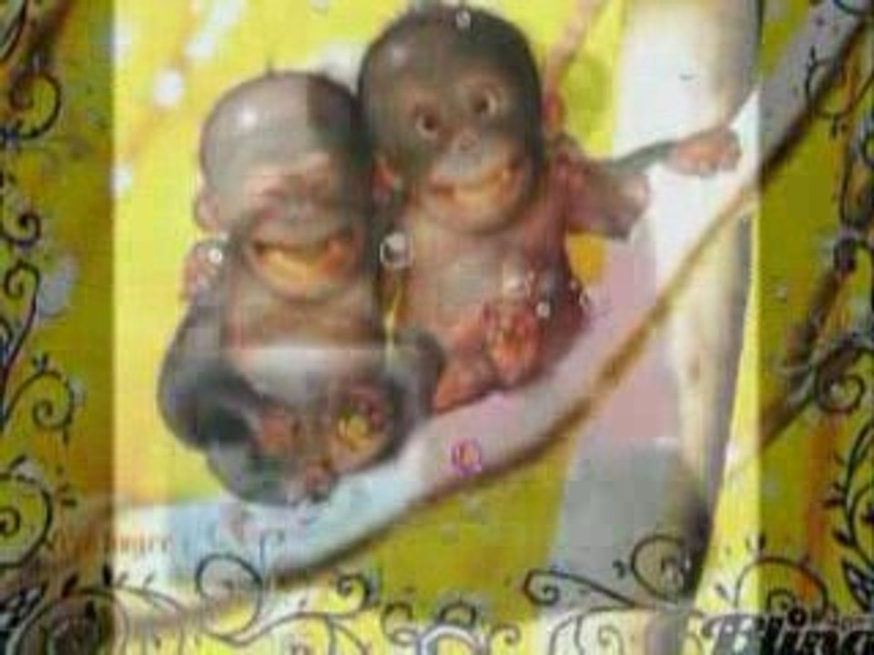 monkeys