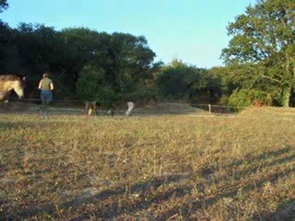 Septembre 2009