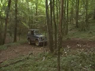 foulain 2009