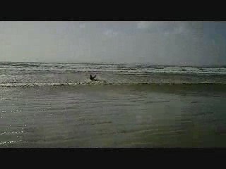 KITESURF FINISTERE SUMMER09