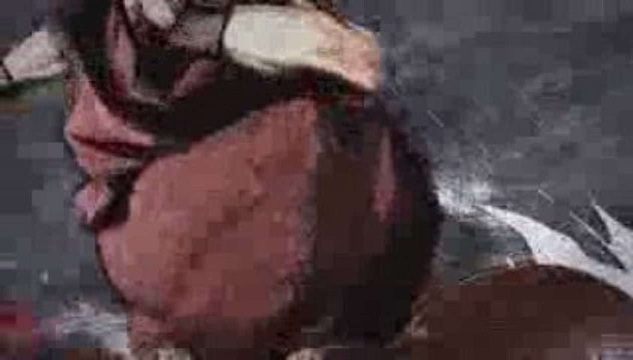 Super Street Fighter 4 Teaser