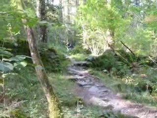 Coed Y Brenin Black Runs