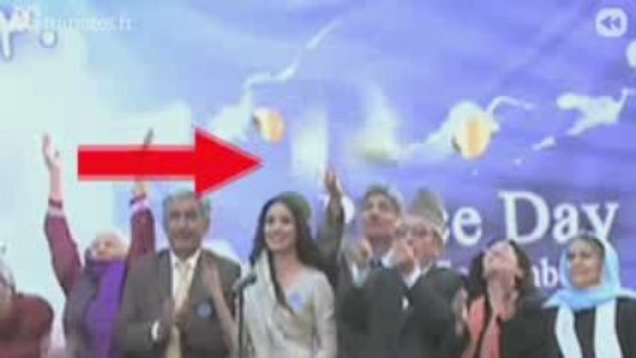 Glauque : un lâcher de colombe... morte - Rewind 29 sep