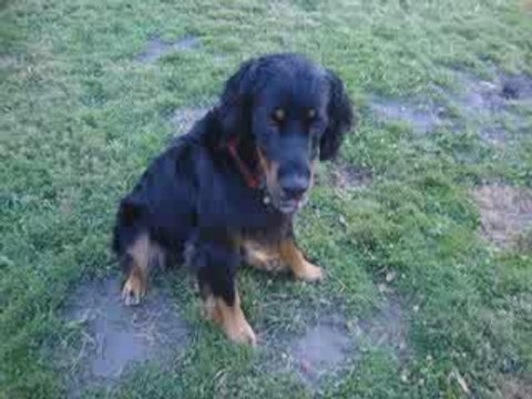 black flash et vacance