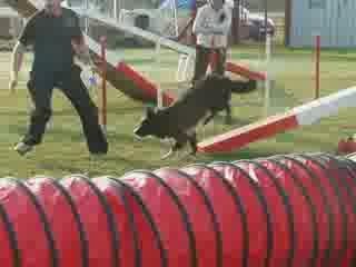 Bandit Open St juery