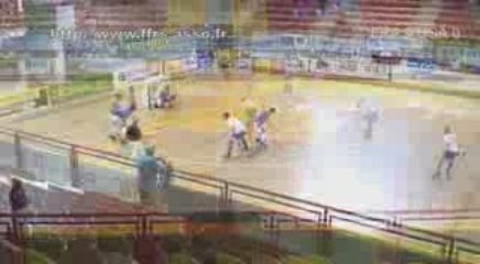 RINK HOCKEY - CHAMPIONNAT DU MONDE JUNIOR 2009 : FRANCE  / USA - Les buts