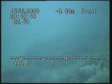 Underwater video Ensues La Redonne