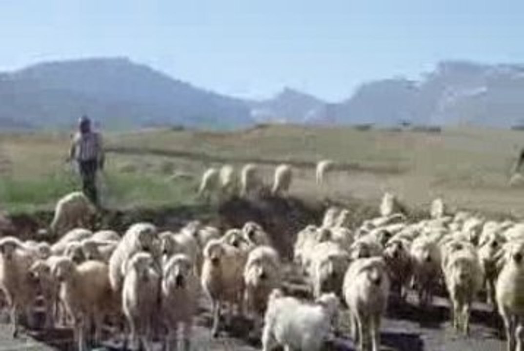 Aladağlar Çamardı Yolu