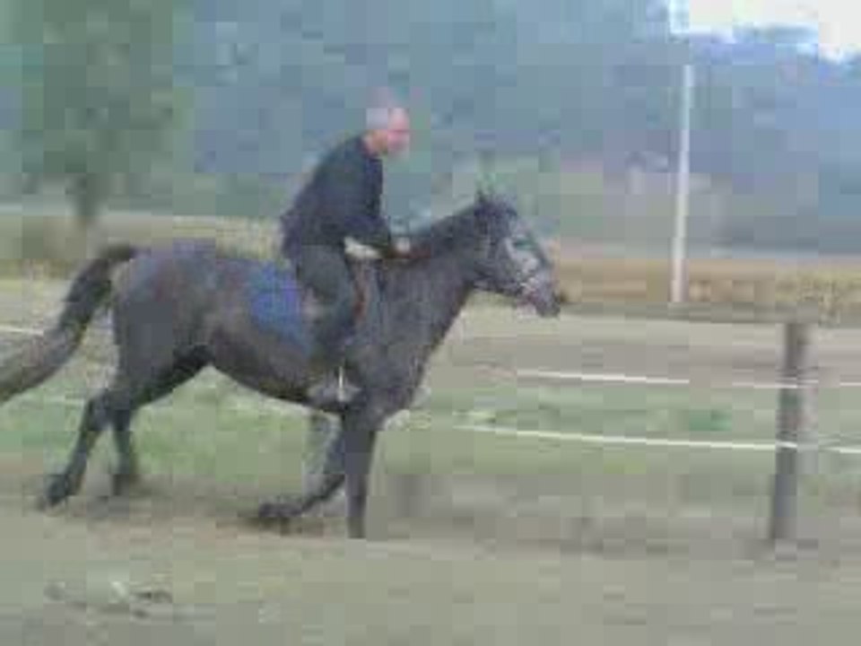 Saba galop