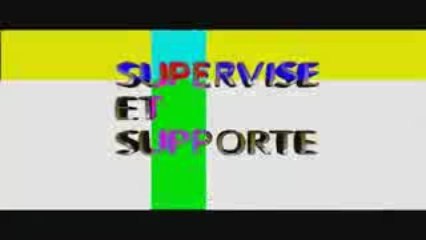 les maitres de sagesses supervise et supporte skfn