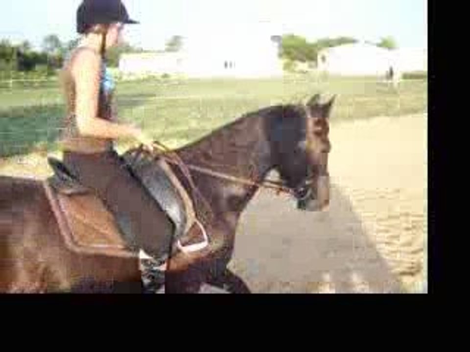 Paname & moi dressage