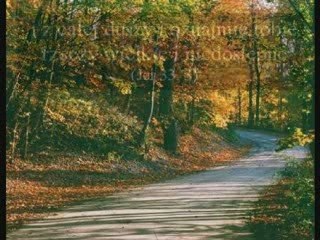 Polish: Father's Love Letter