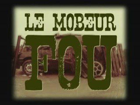 Le Mobeur Fou - Les Johnnys