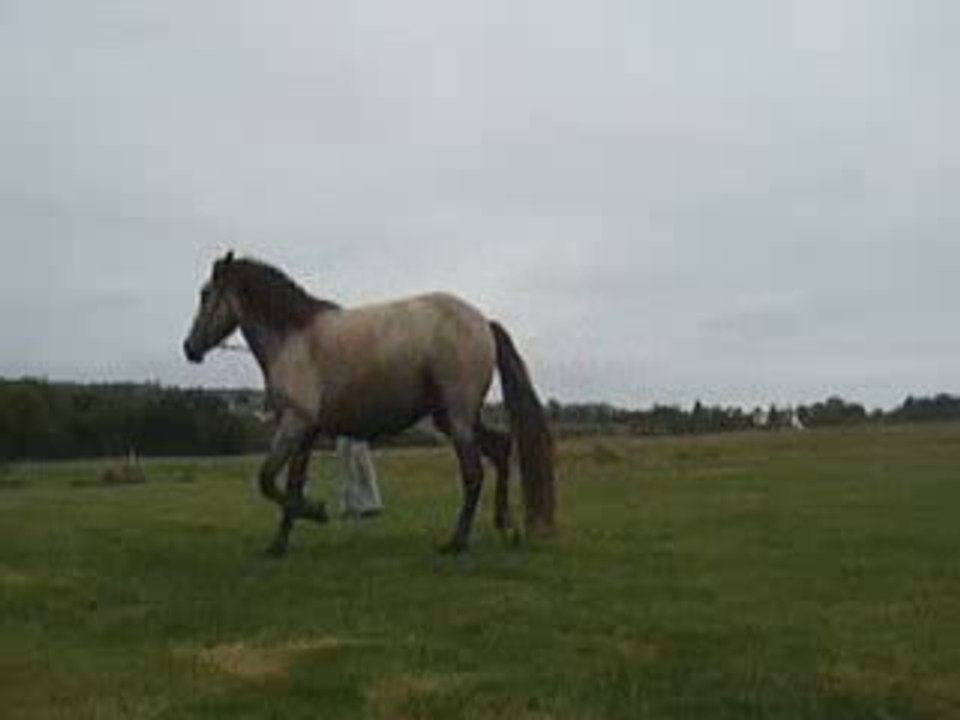 Travail au sol septembre 09