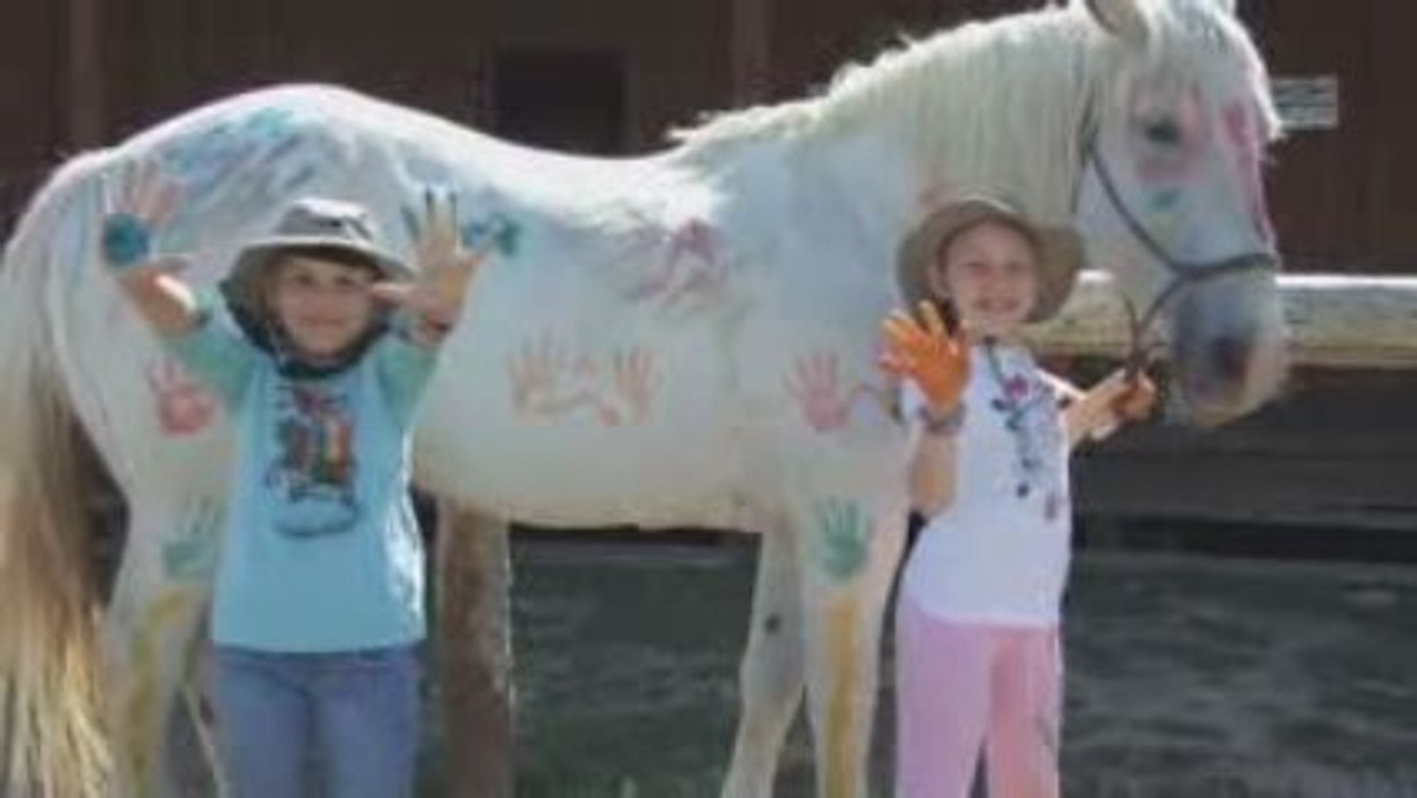 Goosewing Ranch Summer Overview - Jackson Hole, WY