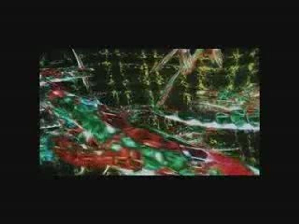 Tribal Distortion