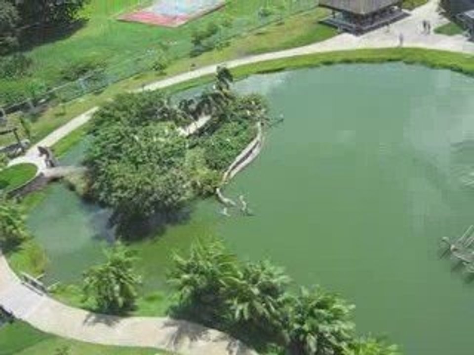 Mangal das Garças - Belém - PA