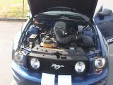 Ford Mustang GT V8 4.6L Bleu 2008 #334-234