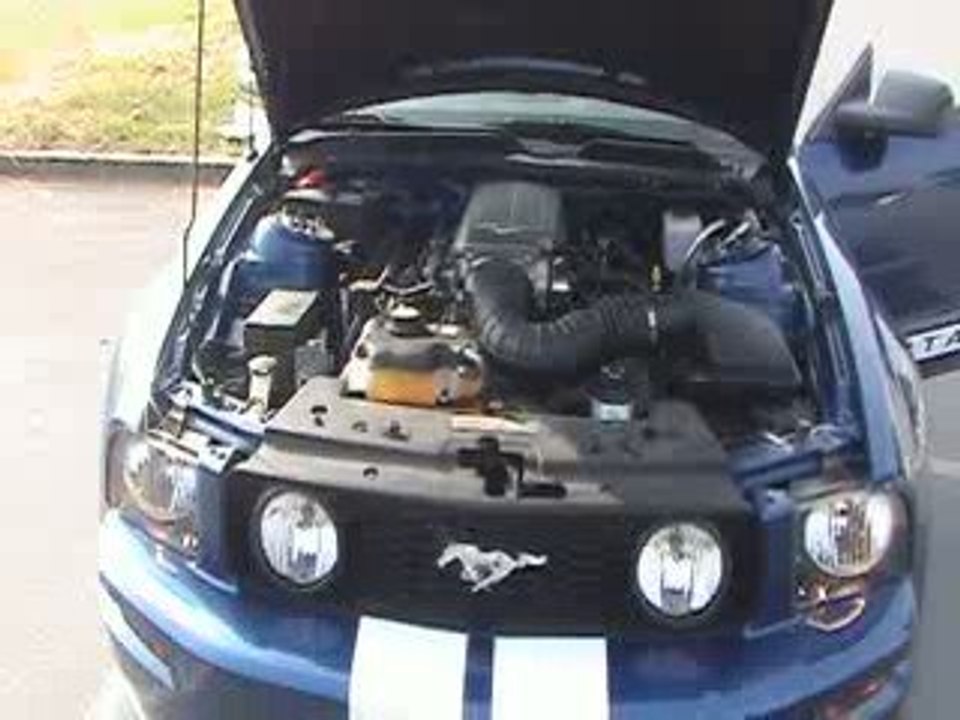 Ford Mustang GT V8 4.6L Bleu 2008 #334-234