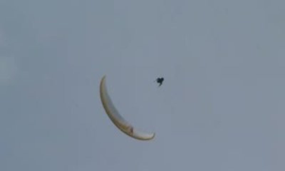 Stage SIV 2009 - Wings Sébastien