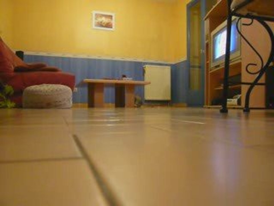 Loustic 26