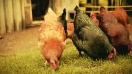 I And Love And You - Heartfelt Song 🎶