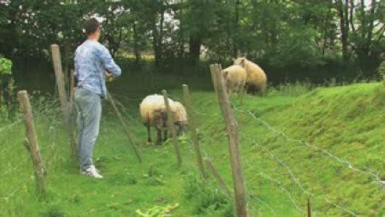 voisins, voisines extrait //////////