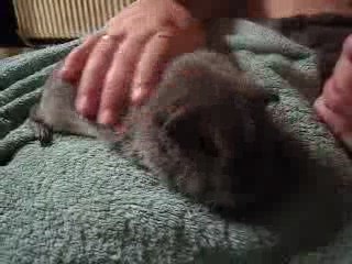 loli aime les massages