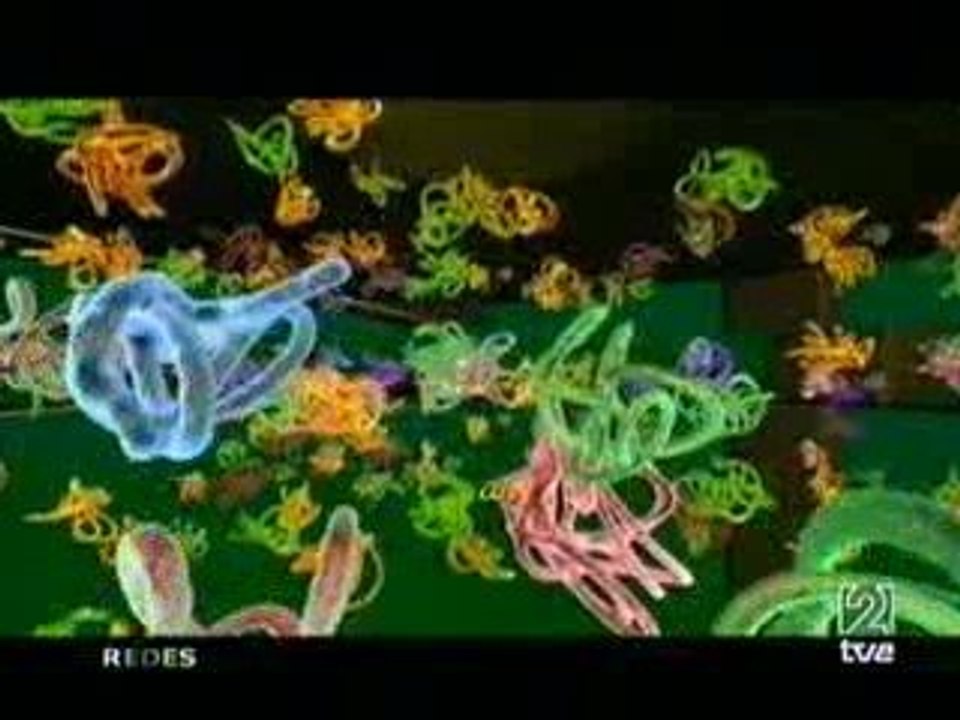 Proteoma: Descifrando las proteinas