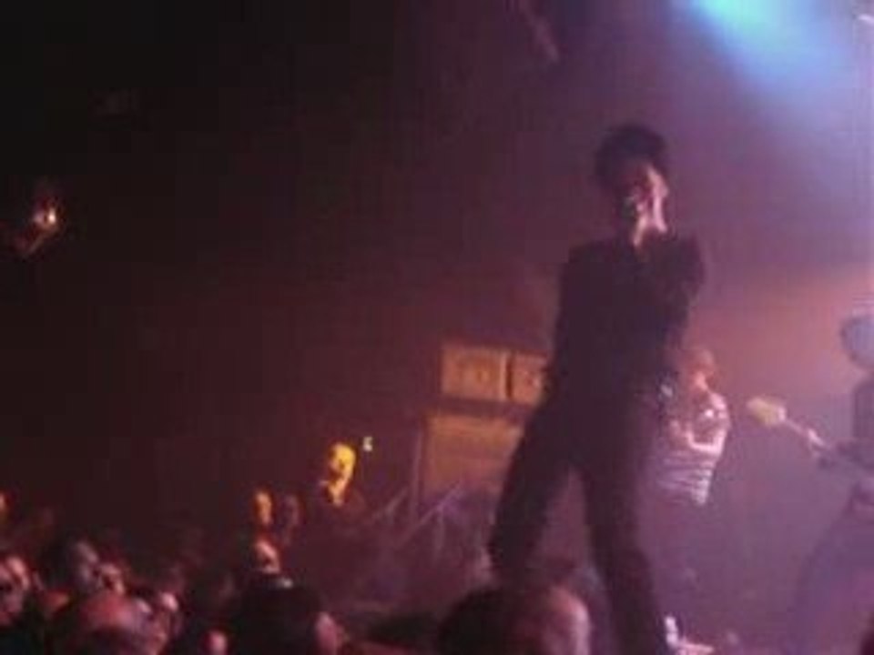 PETER MURPHY       Cover David Bowie