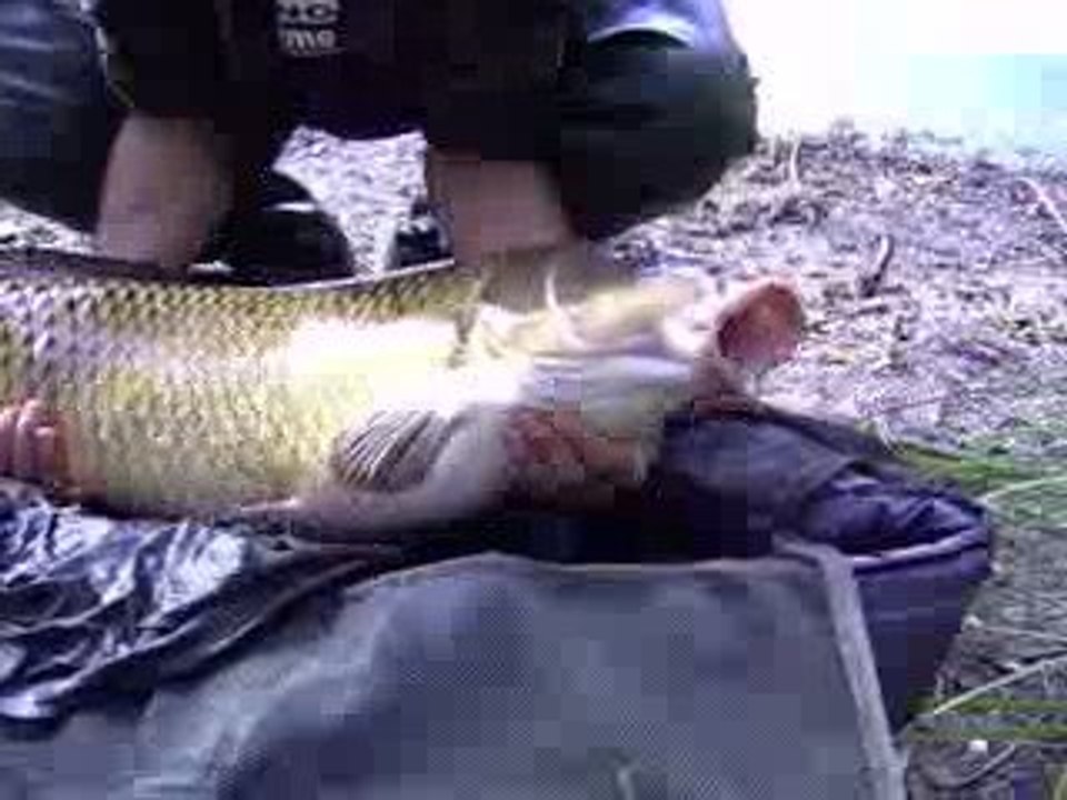 Un été au boistray - le film