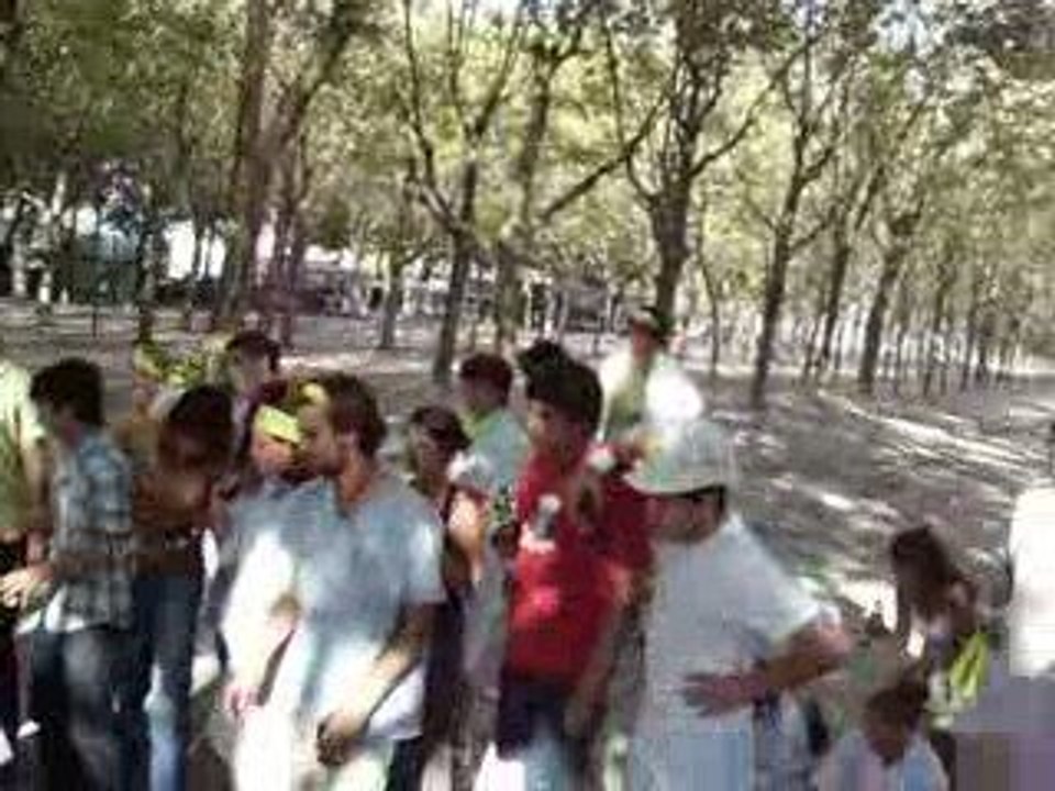 SEI integration P2 D1 médecine bordeaux Quinconces