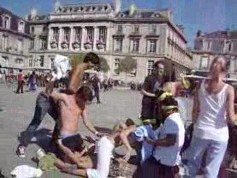 SEI integration P2 D1 médecine bordeaux PARTOUZE VICTOIRE