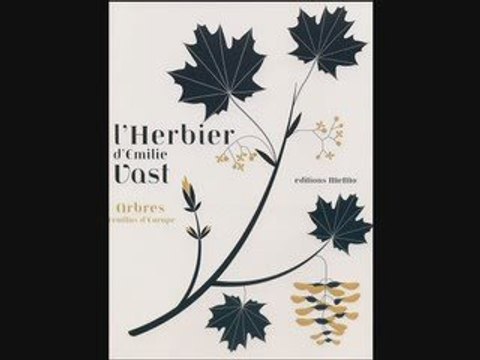 Livre : L'HERBIER - Arbres feuillus d'Europe