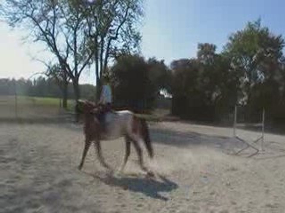 manon c'est premier pas d'equitation