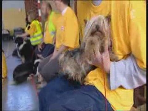 30 Miilions d'amis - Les éduquer en s'amusant