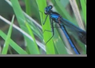 Kids Music | Kids Video | Kids Songs | Video Games