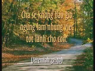 Vietnamese: Father's Love Letter