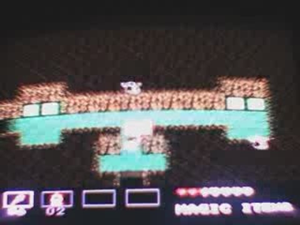 Un donjon de Startropics