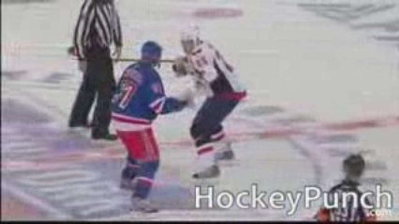 Brandon Sugden vs Donald Brashear  NHL pre-seasom