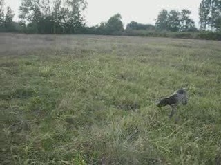 Hera Aport Eğitimi 2