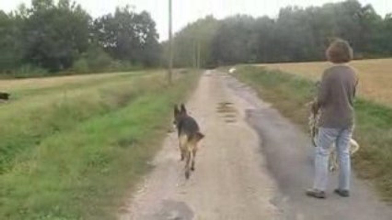 MOV049