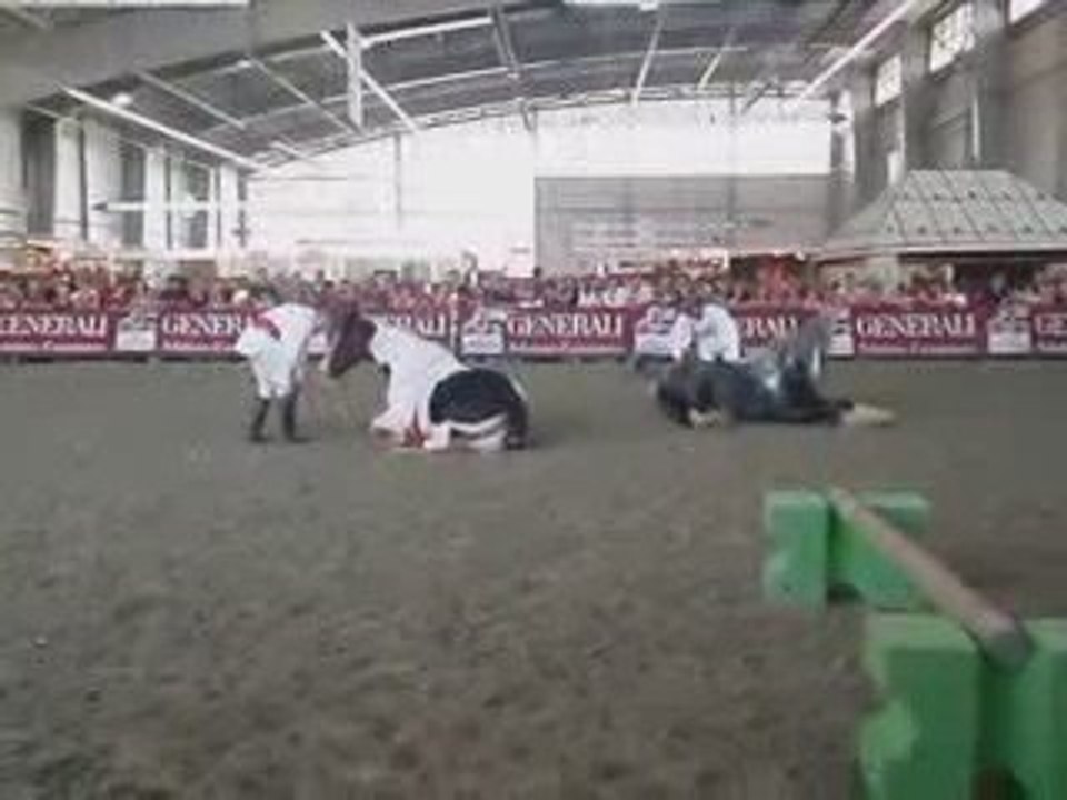 Tao et Bianca-Equid'espace 2009-coucher sur demande