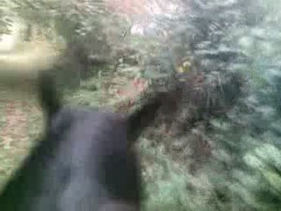 Petit chemin de balade