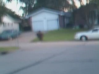 Trikke flying with Woody Boneroni