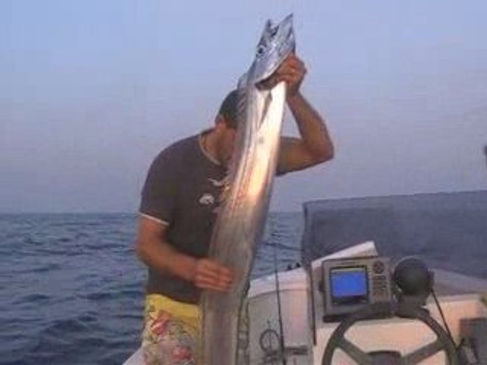 jigging sabre  09.2009
