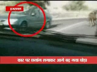 CHEVAL ACCIDENT !!