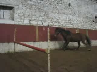 Pelham saute sans élan.