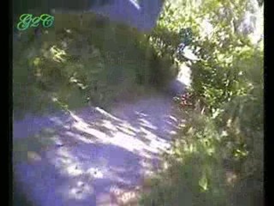 dh 8 Gouezec 27-09-09