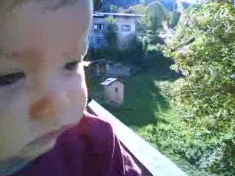 Descente d'alpage (sept. 2009)